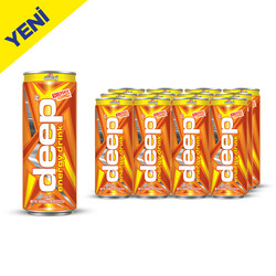  - Deep Enerji Exotic Kutu 250 ml 12&prime;li Paket
