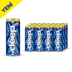  - Deep Enerji Kutu 250 ml 12&prime;li Paket