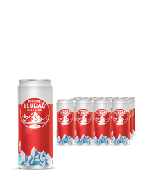 Efsane Uludağ Gazoz Cans 330ml 12pcs