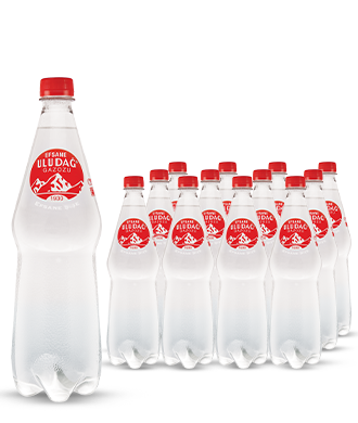 Efsane Uludağ Gazozu Pet 1 Lt 12'li Paket