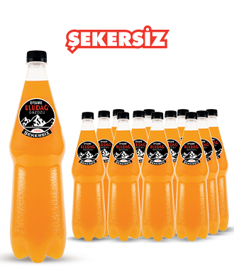 Efsane Uludağ Portakallı Gazozu Şekersiz Pet 1 Lt 12'li Paket