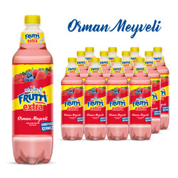  - Uludağ Frutti Extra Orman Meyveleri Pet 1 LT 12'li Paket