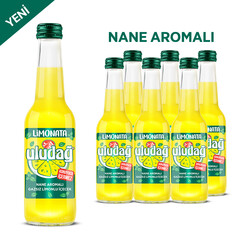  - Uludağ Limonata Nane Aromalı Cam 250 ml 6&prime;lı Paket