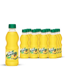 Uludağ İçecek - Uludağ Meyvelim Ananas Pet 250 ml 12'li Paket