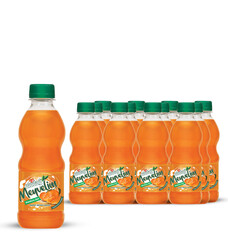  - Uludağ Meyvelim Mandalina Pet 250 ml 12&prime;li Paket