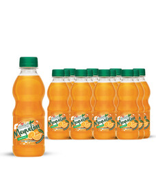  - Uludağ Meyvelim Portakal Pet 250 ml 12&prime;li Paket