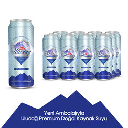 Uludağ Premium Natural Spring Water Glass Bottles 330ml 12pcs